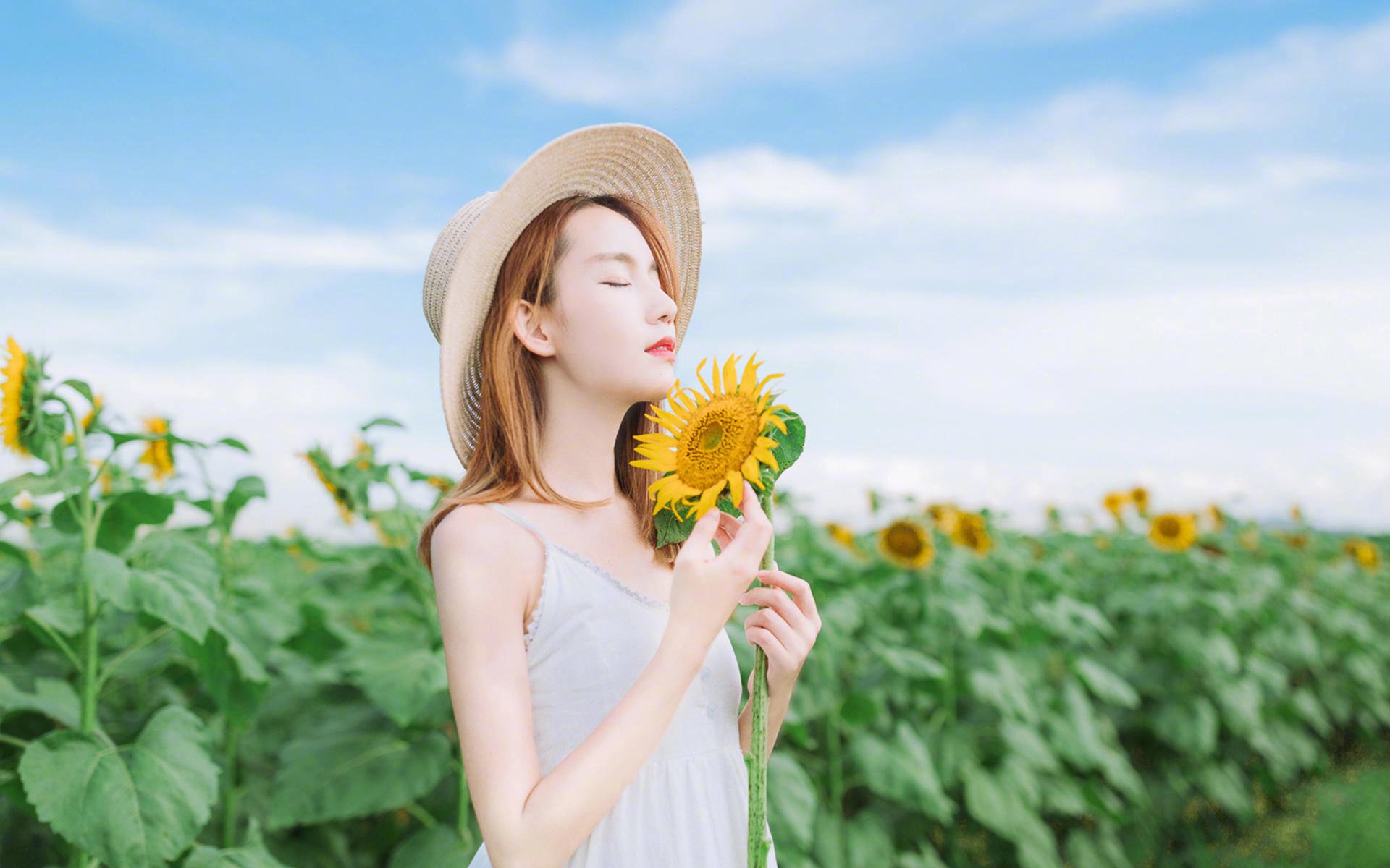 不同类型的婚姻（客观分析不同婚姻里的可挽回度）