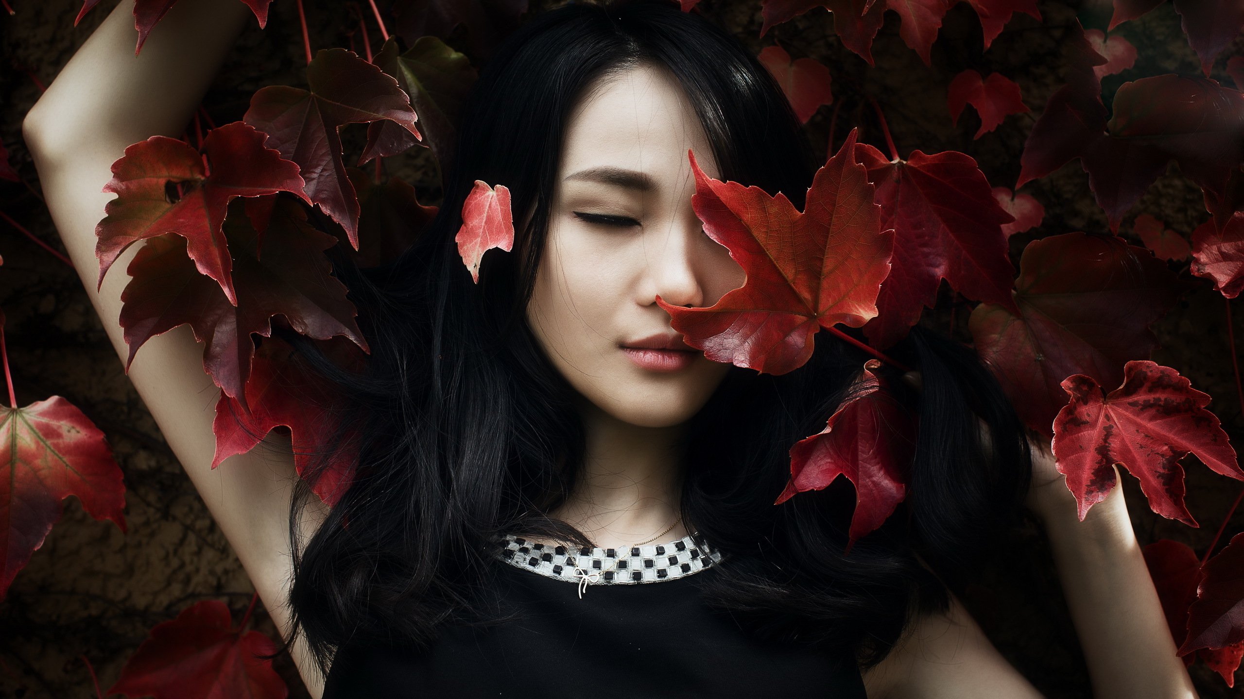 事实证明，被苗苗一家四口“吸血”的郑恺，已经走上了另一条道路贾玲暴瘦50斤，穿黑裙重现年轻时风采，网友：原来贾玲不丑
