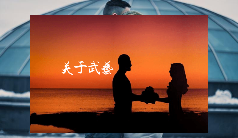 关于武艺