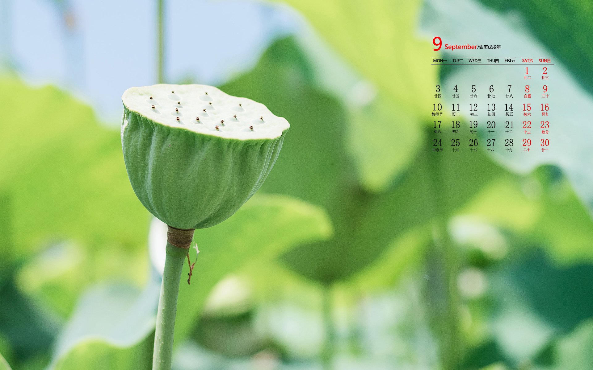 别心疼沈梦辰了，隐忍9年，终嫁杜家豪门的她才是圈里“聪明人”王思聪00后新女友身份曝光，住男方豪宅介绍姐妹，遭网友反对劝分