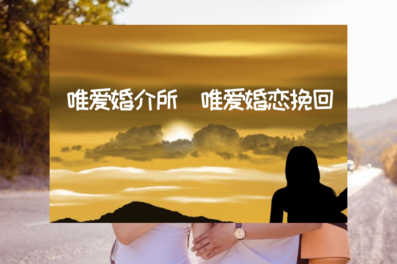 唯爱婚介所（唯爱婚恋挽回）