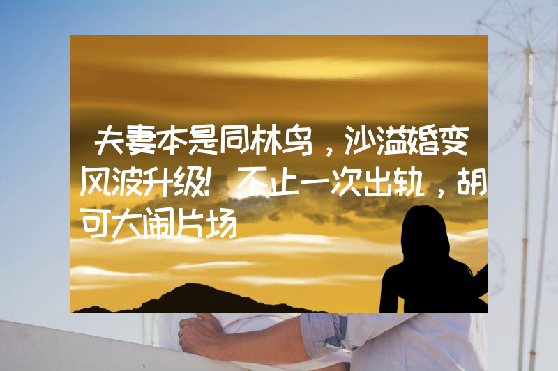 夫妻本是同林鸟，沙溢婚变风波升级！不止一次出轨，胡可大闹片场