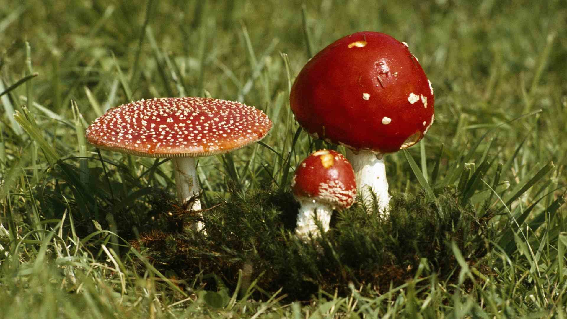 小沈阳身处低谷，被专家学者围猎，郭德纲为其打抱不平