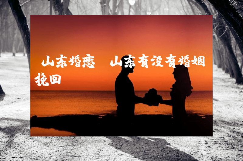 山东婚恋（山东有没有婚姻挽回）