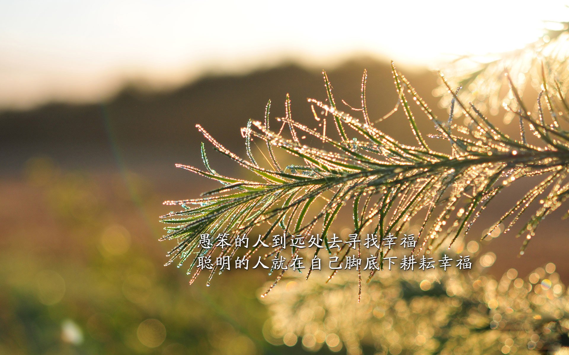 幸福术情感咨询（幸福情感挽回婚姻专家）