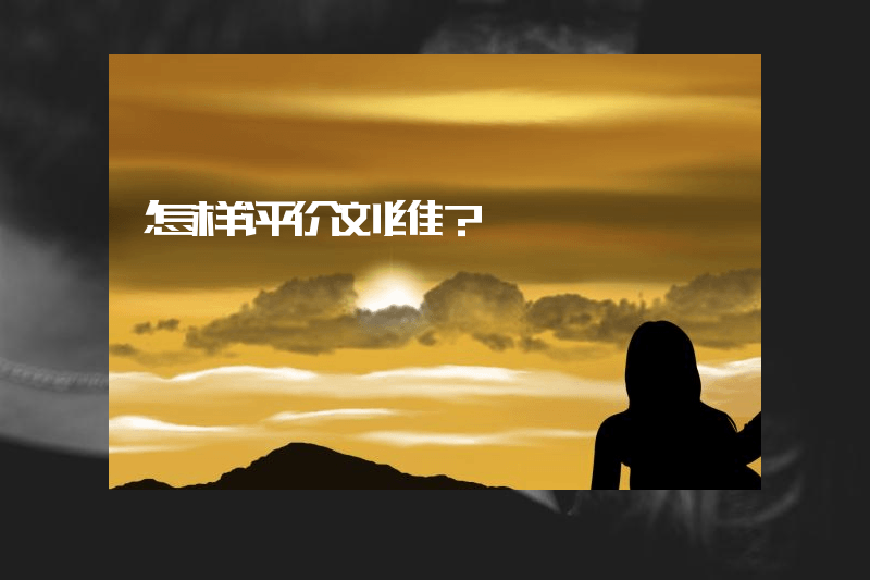 怎样评价刘维？