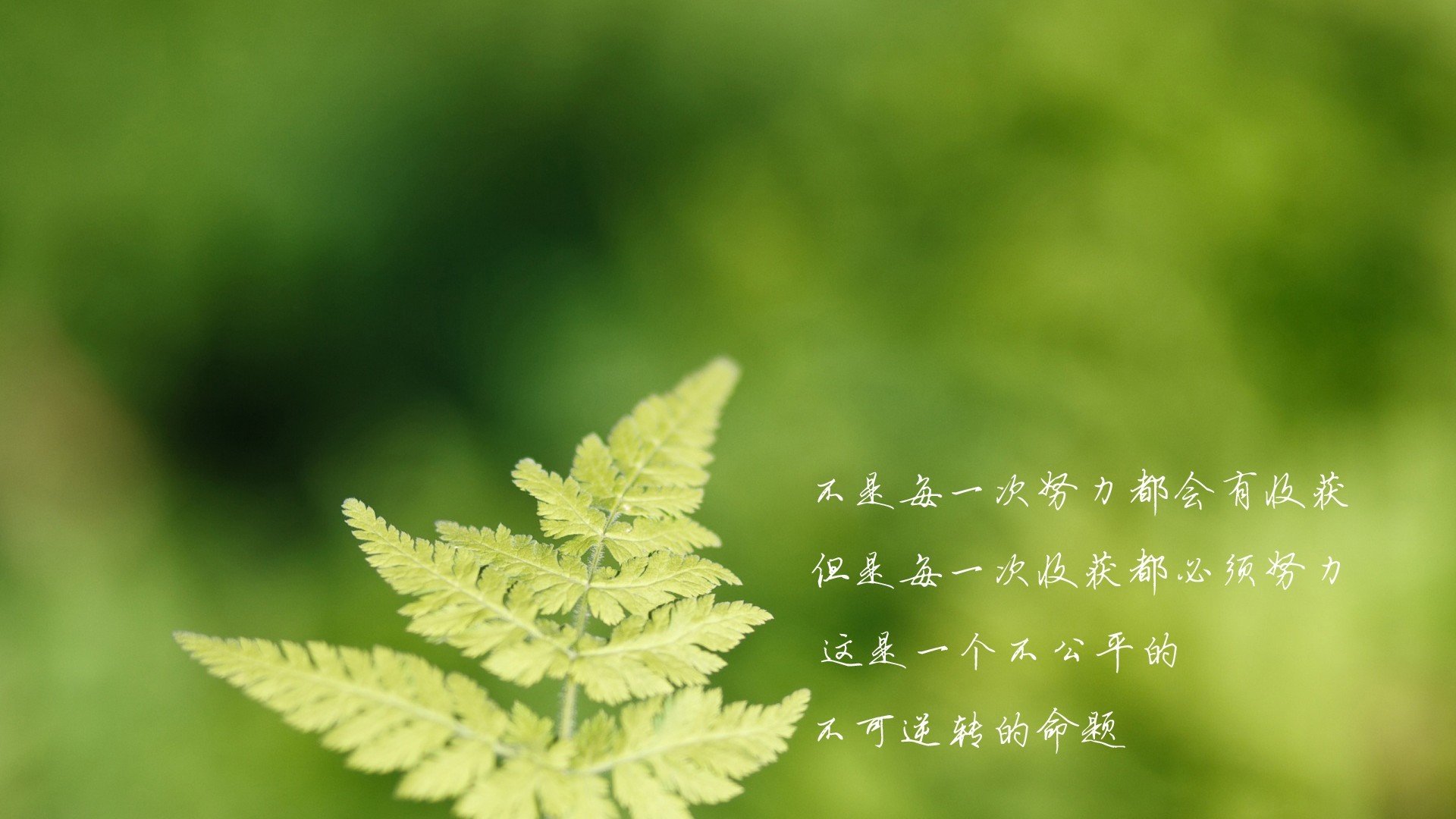 性格招人喜欢颜值十分突出，朱正廷一直非常努力，有很大发展空间