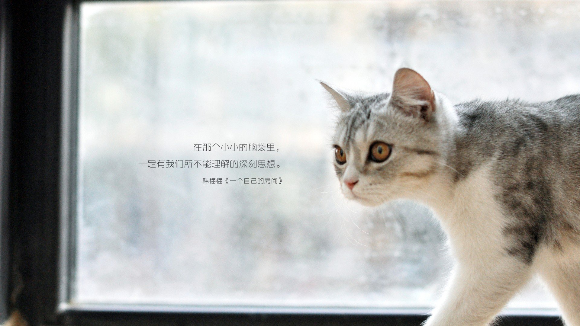 找一个算命的（去找算命的能挽回自己的婚姻吗）
