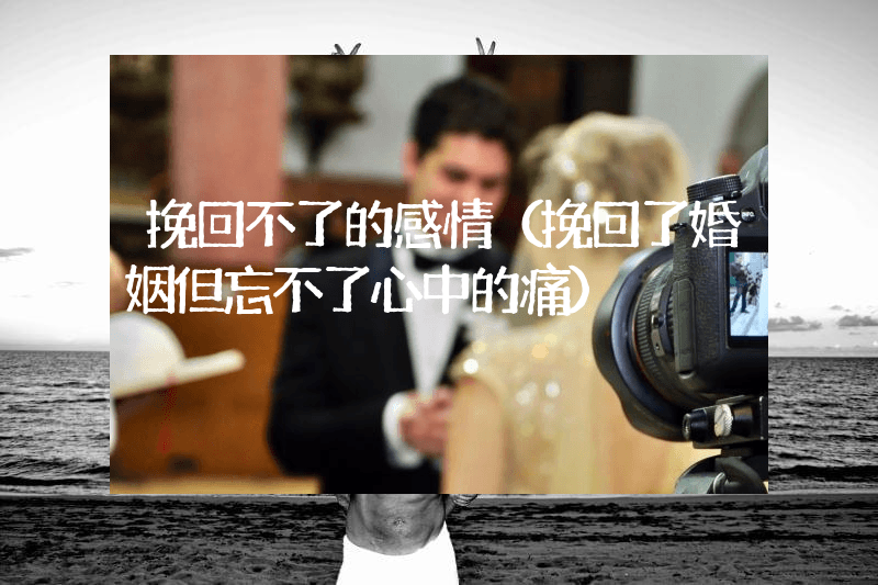 挽回不了的感情（挽回了婚姻但忘不了心中的痛）