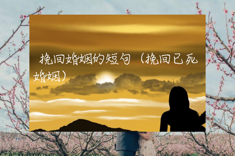挽回婚姻的短句（挽回已死婚姻）