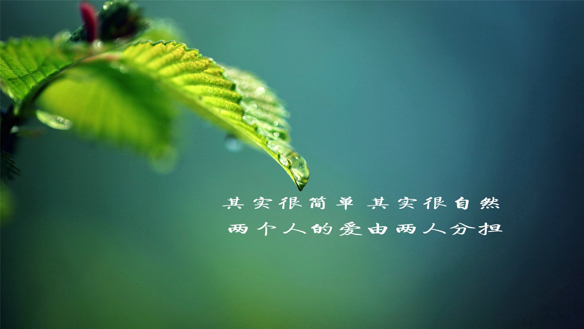 挽回婚姻的话术（挽回婚姻感动的话）