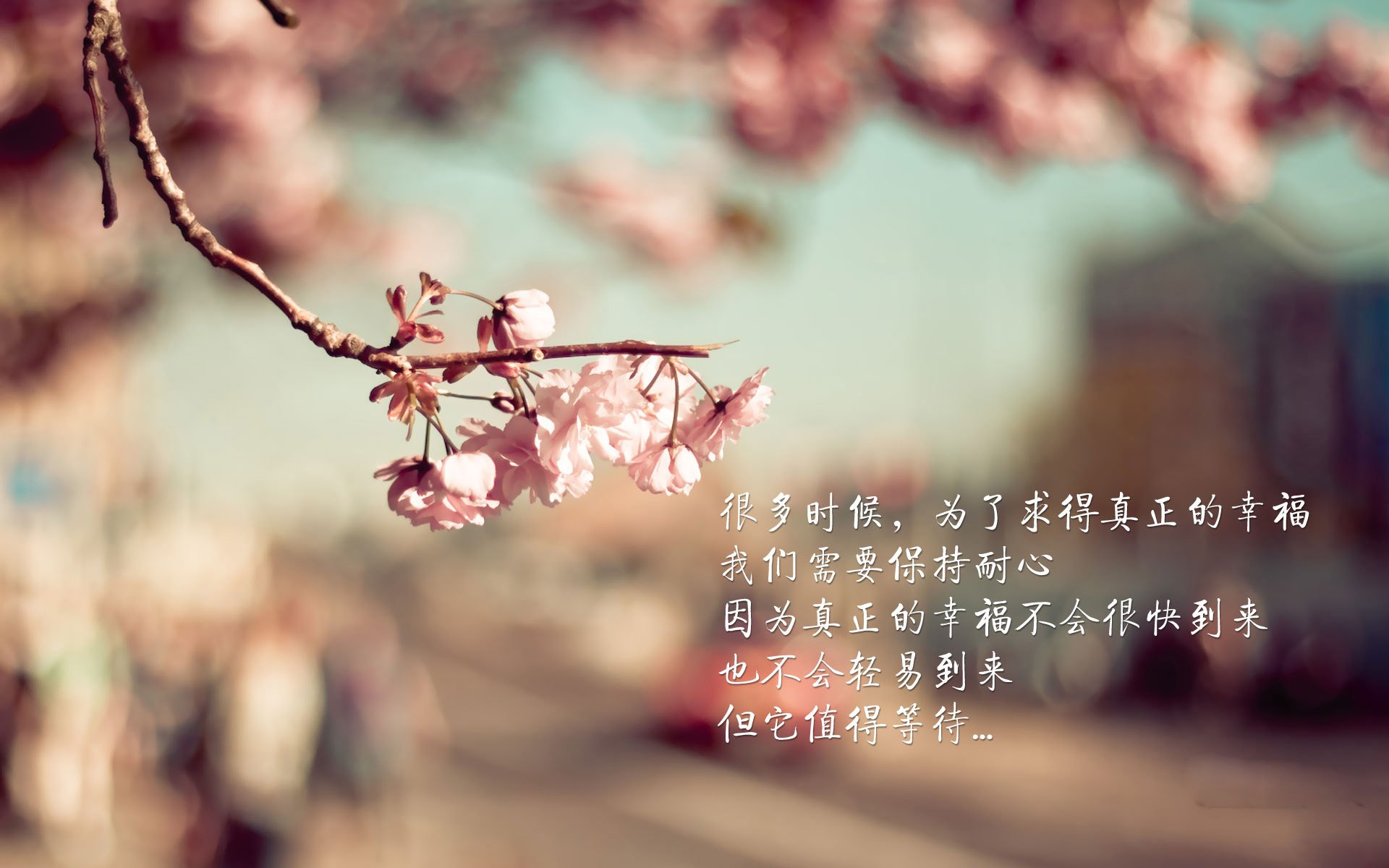 挽回婚姻要多少钱费用（挽回婚姻需要注意什么）