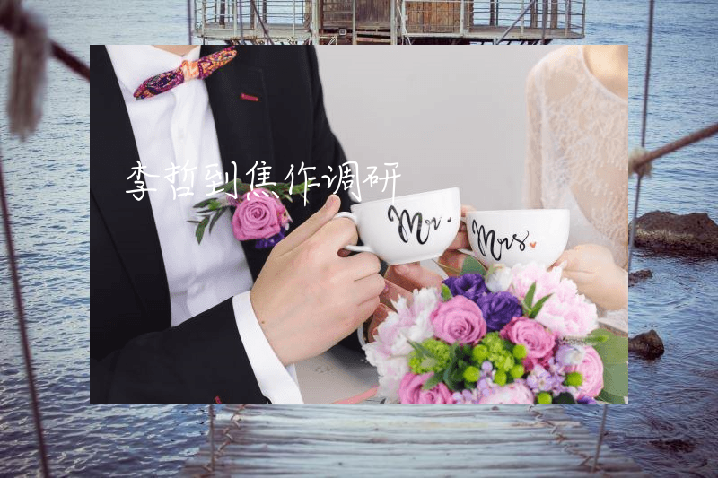 李哲到焦作调研