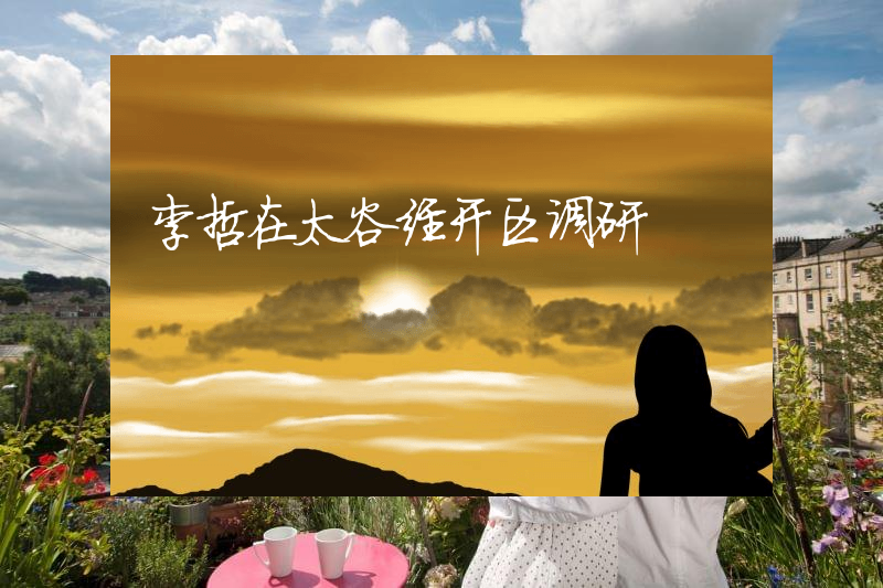 李哲在太谷经开区调研