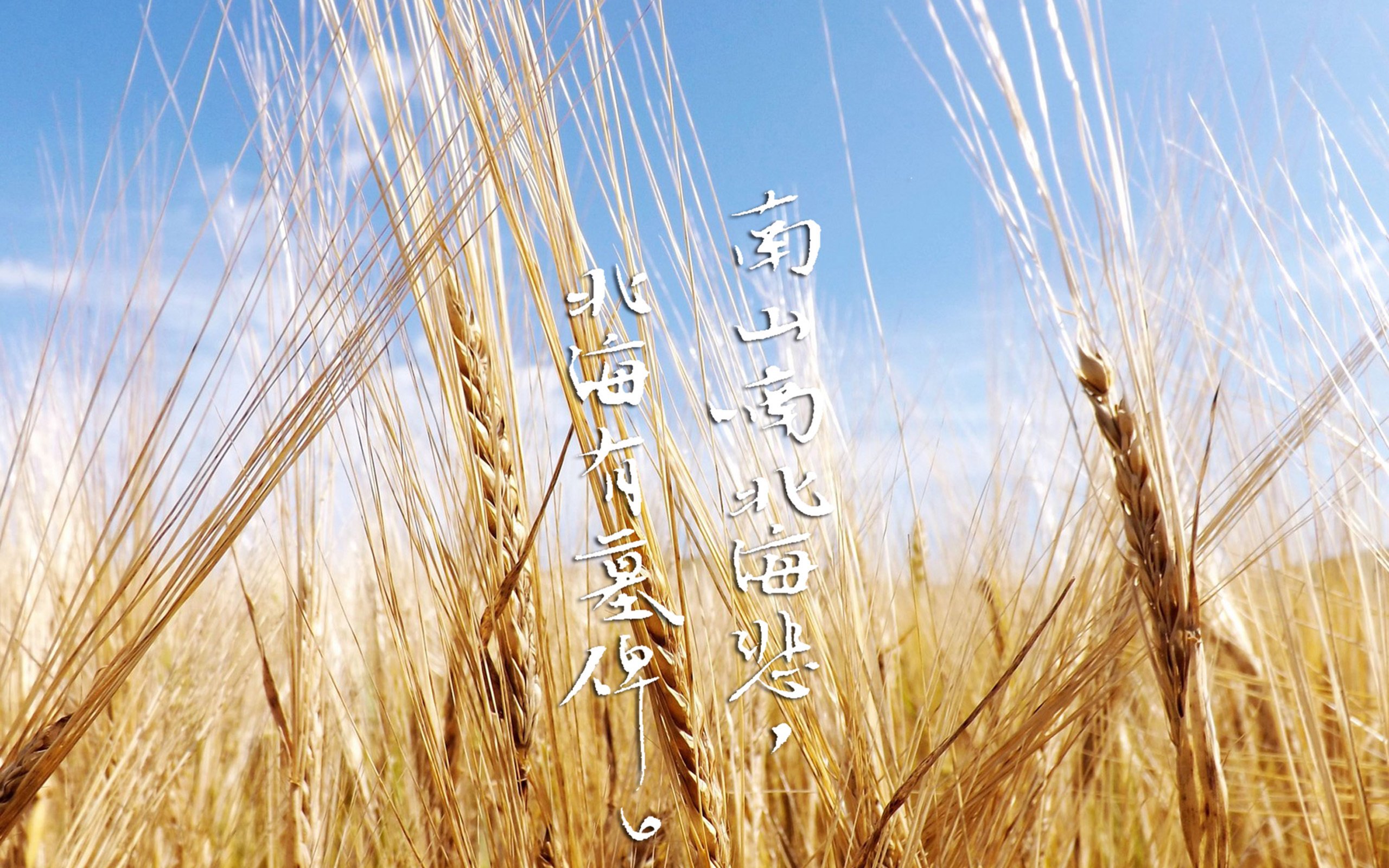 潘长江晚节不保，他那嫁给10亿富豪的女儿潘阳，如今过得幸福吗“南猴王”六龄童的葬礼：唐僧送最后一程，上千群众道别