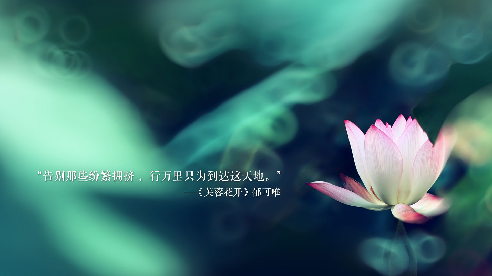热度不减，那英官宣在澳门国庆日开演唱会！她的抖音评论区又炸了