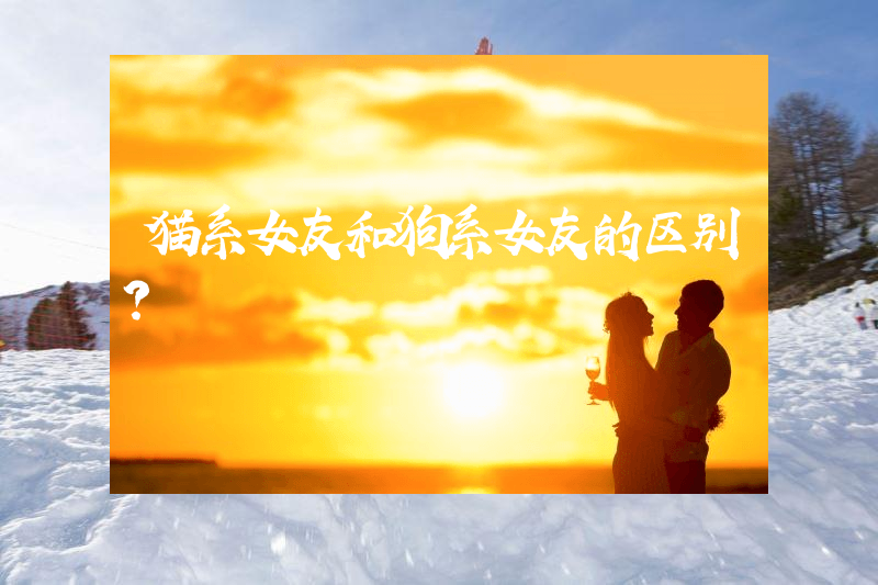 猫系女友和狗系女友的区别？