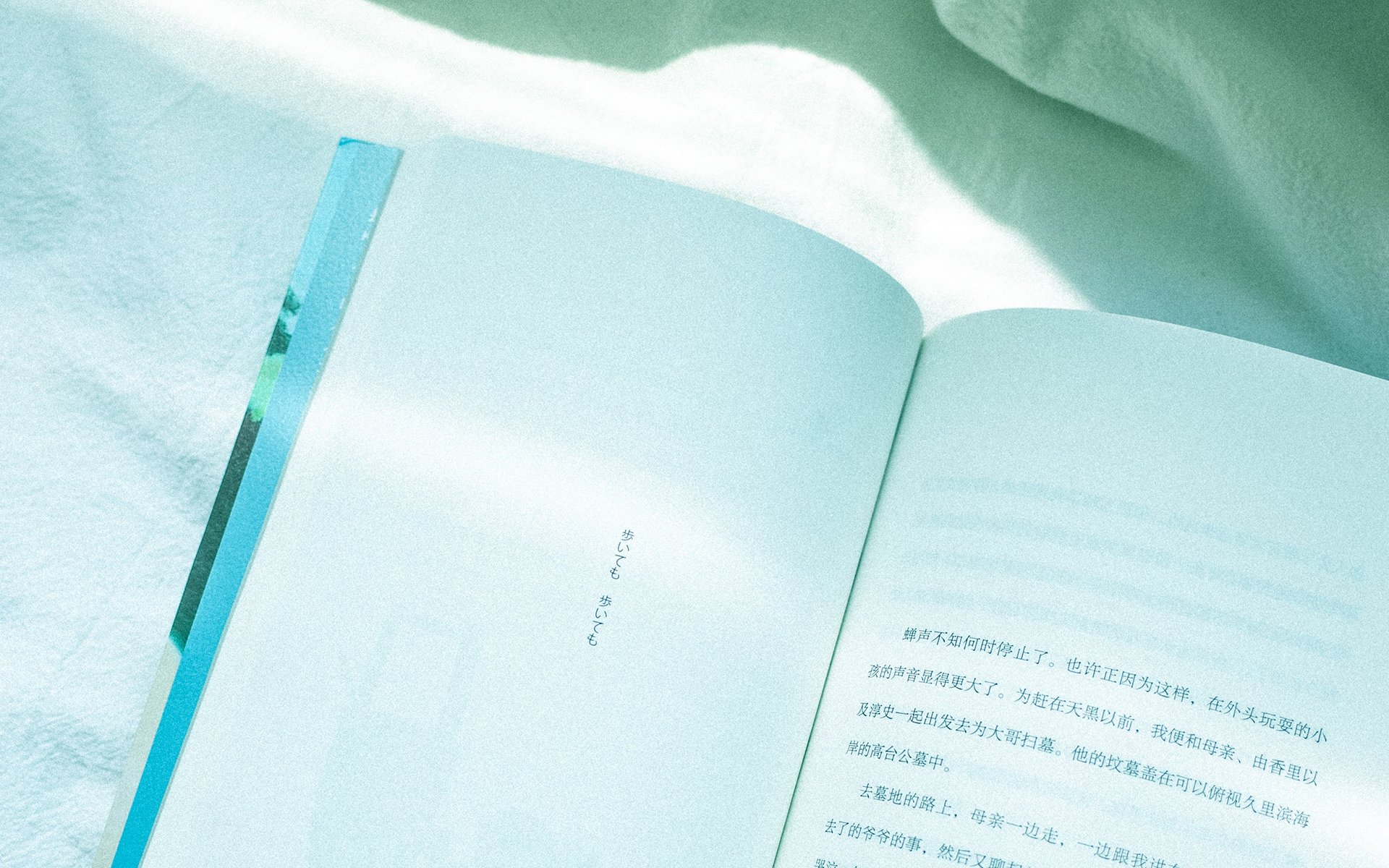 艺术丨陈翔：不随波逐流，自有内心的笃定