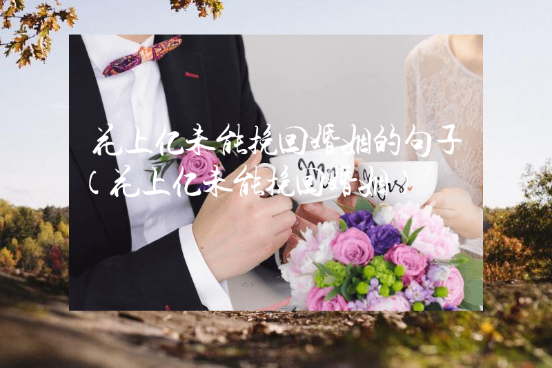 花上亿未能挽回婚姻的句子（花上亿未能挽回婚姻）