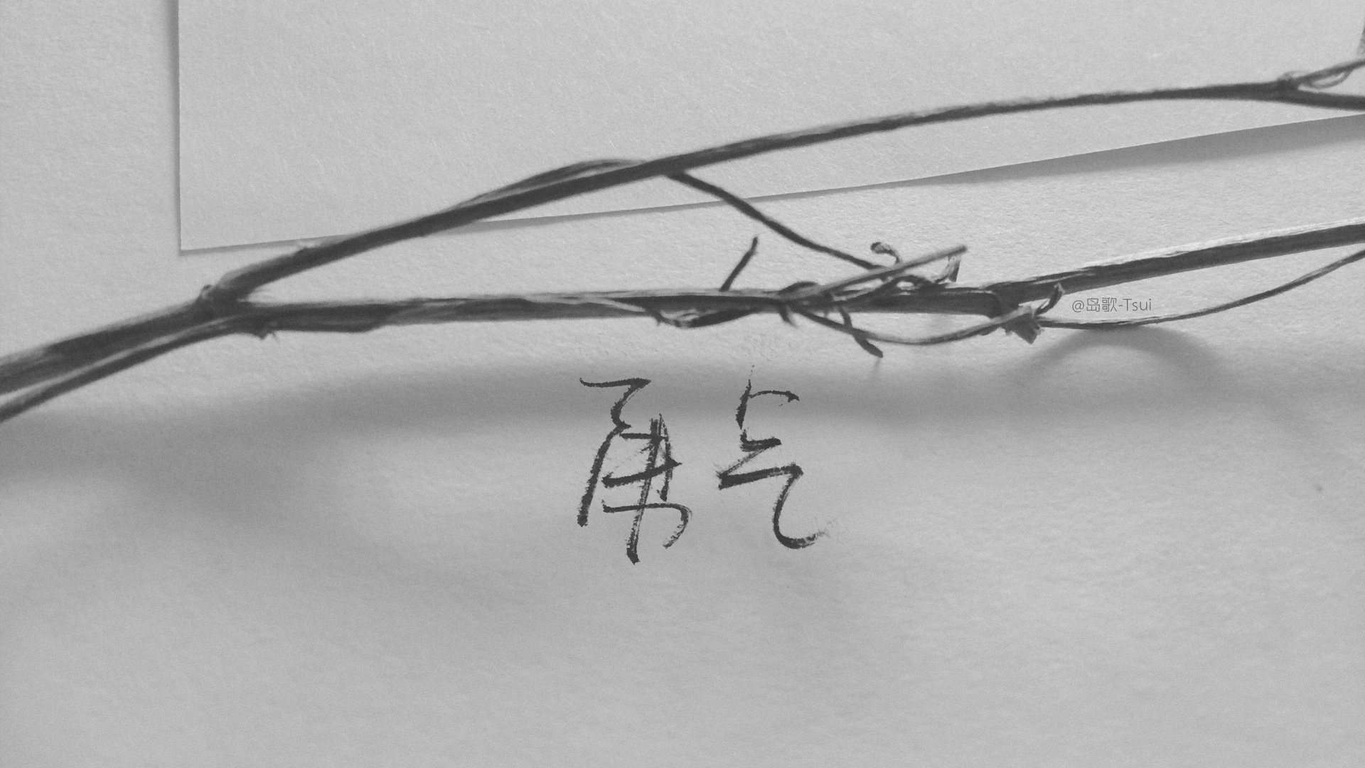 贩卖焦虑or赋予勇气？荣耀和朱星杰的这条短片，何以直刺人心？