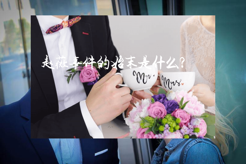 赵薇事件的始末是什么？