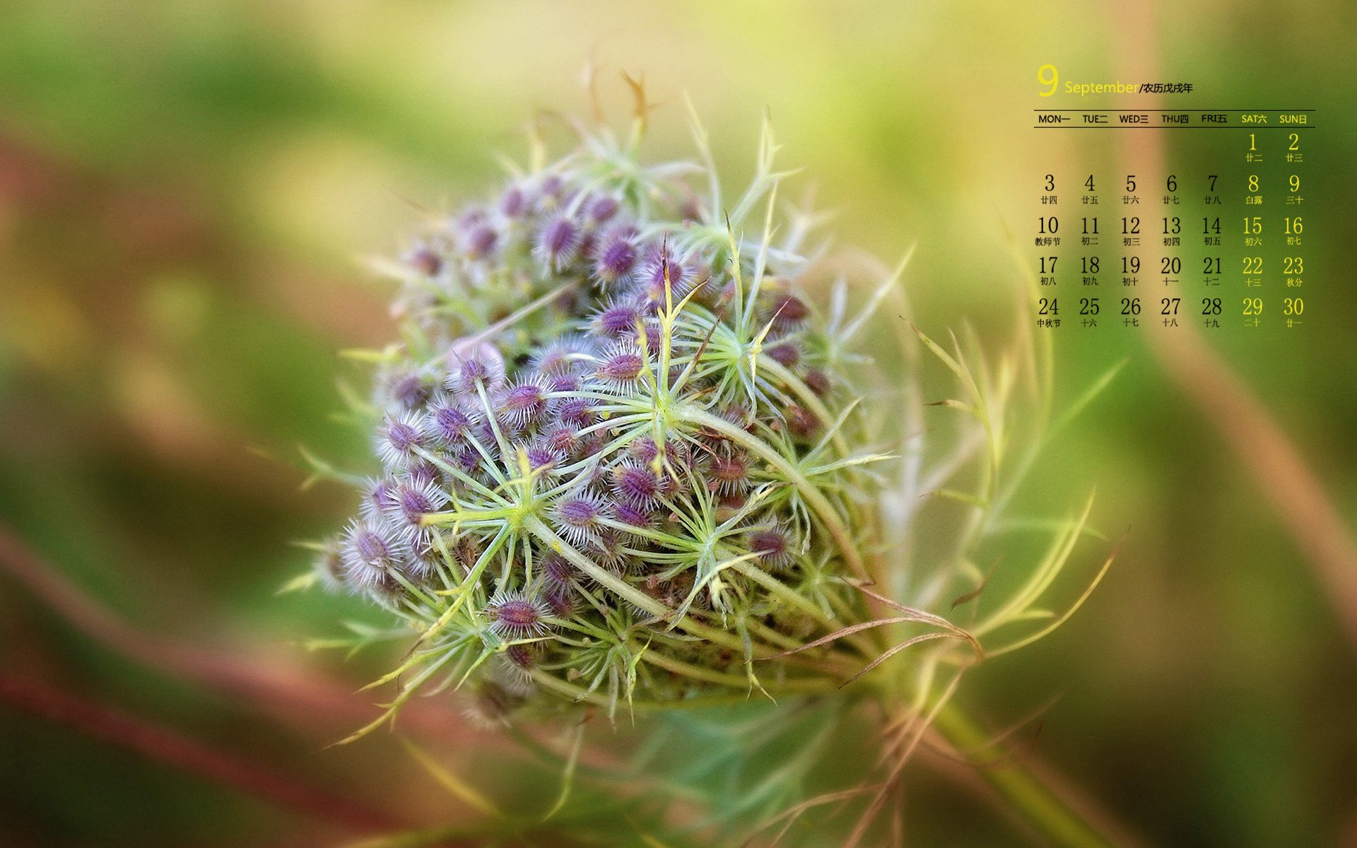隐忍9年，沈梦辰终嫁杜家豪门，细数其上位史